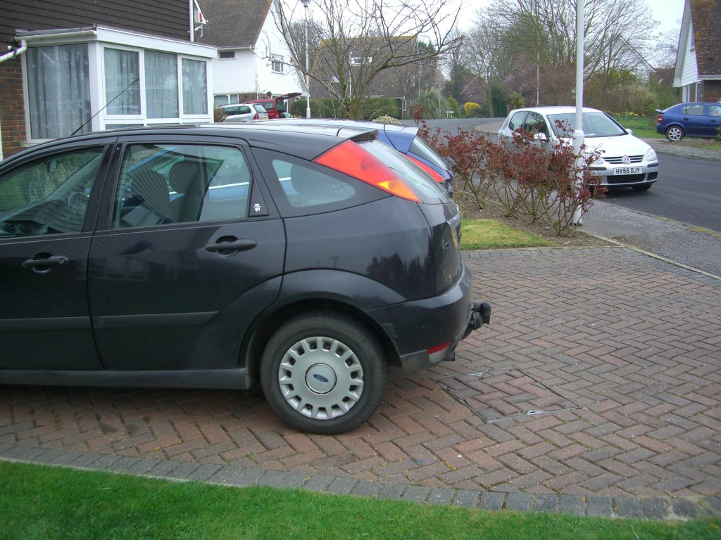 Fiesta5.jpg