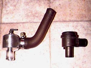 bothvalves.JPG (16485 bytes)